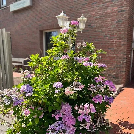 Deich Quartier 9.3 Appartement *