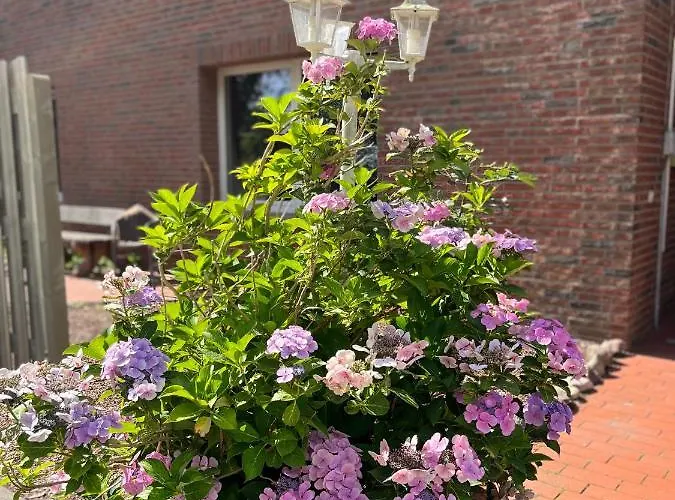 Deich Quartier 9.3 Apartman *